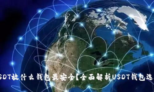 USDT放什么钱包最安全？全面解析USDT钱包选择