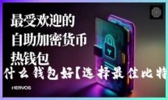 存比特币用什么钱包好？选择最佳比特币钱包指