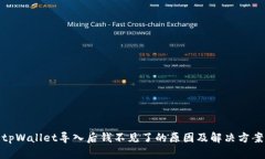 tpWallet导入后钱不见了的原因及解决方案