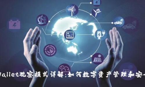 tpWallet观察模式详解：如何数字资产管理和安全性