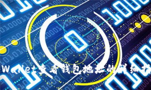tpWallet查看钱包地址的详细指南