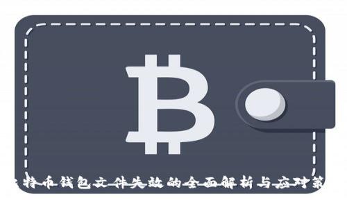 比特币钱包文件失效的全面解析与应对策略