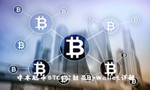 中本聪币BTCs公链及tpWallet详解