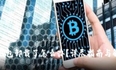 比特币钱包卸载了怎么办？详尽指南与解决方案