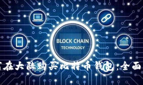 如何在大陆购买比特币钱包：全面指南