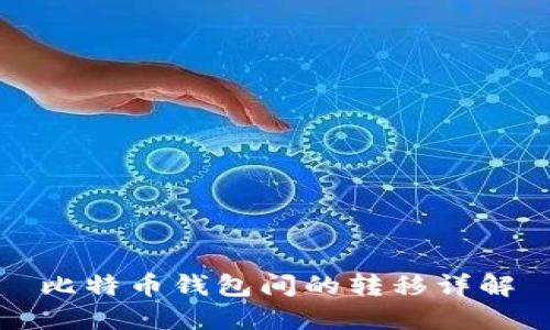 比特币钱包间的转移详解