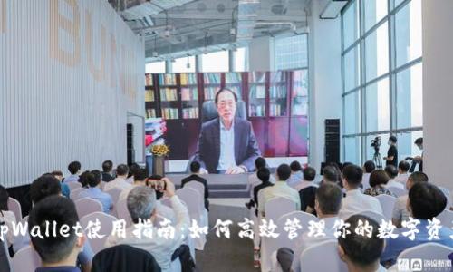 tpWallet使用指南：如何高效管理你的数字资产