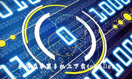 如何在苹果手机上下载tpWallet