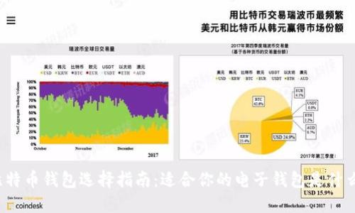 比特币钱包选择指南：适合你的电子钱包是什么？