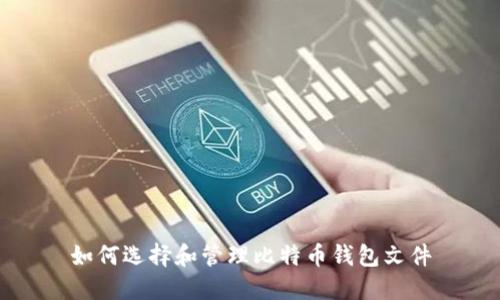 如何选择和管理比特币钱包文件