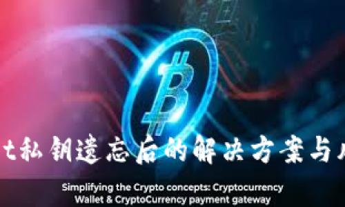 tpWallet私钥遗忘后的解决方案与风险分析