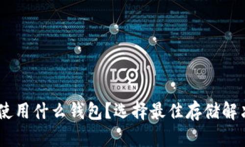 USDT使用什么钱包？选择最佳存储解决方案