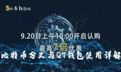 比特币分叉与QT钱包使用详解
