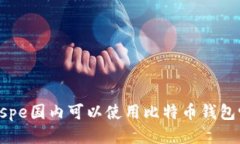 bespe国内可以使用比特币钱包吗？