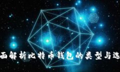 全面解析比特币钱包的类型与选择