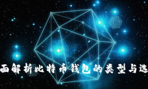 全面解析比特币钱包的类型与选择