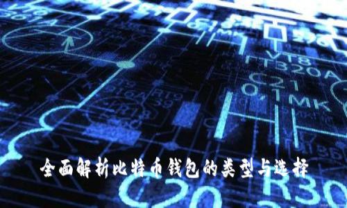 全面解析比特币钱包的类型与选择