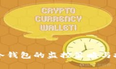 比特币冷钱包的监控策略与技巧解析