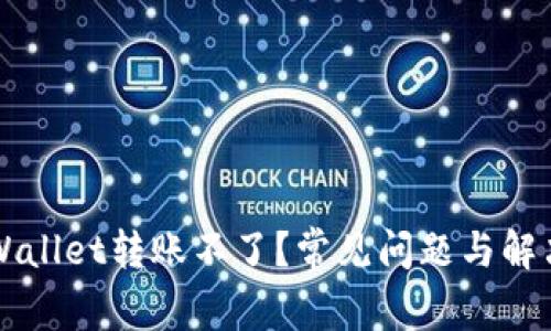 为什么tpWallet转账不了？常见问题与解决方法解析