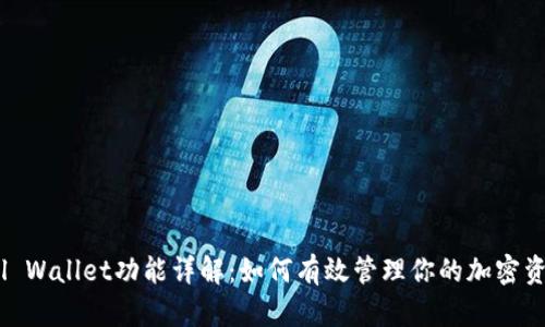 Sol Wallet功能详解：如何有效管理你的加密资产