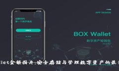 tpWallet金额图片：安全存储与管理数字资产的最佳