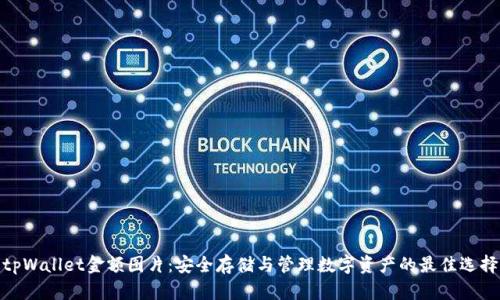tpWallet金额图片：安全存储与管理数字资产的最佳选择