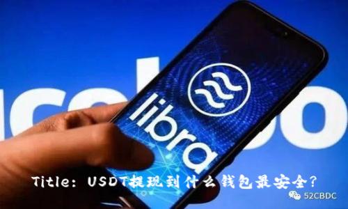 Title: USDT提现到什么钱包最安全?