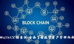 tpWallet公链查询：全面了解数字资产管理的利器