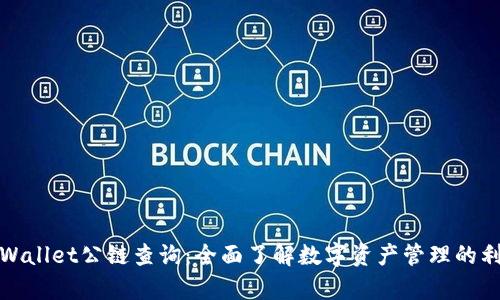 tpWallet公链查询：全面了解数字资产管理的利器