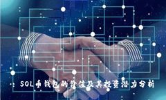 : SOL币钱包的价值及其投资潜力分析
