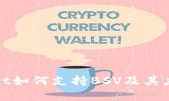 tpWallet如何支持BSV及其应用详解