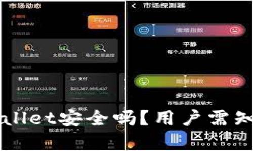百度下载tpWallet安全吗？用户需知的安全性分析