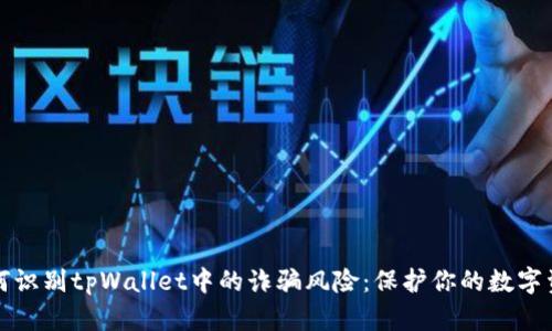 如何识别tpWallet中的诈骗风险：保护你的数字资产