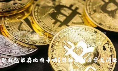 小狐狸钱包能存比特币吗？详细解析与常见问题解答