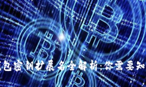 比特币钱包密钥扩展名全解析：你需要知道的一切