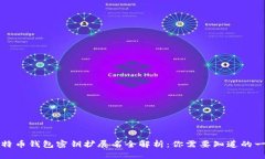 比特币钱包密钥扩展名全解析：你需要知道的一