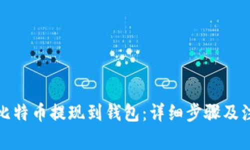 如何将比特币提现到钱包：详细步骤及注意事项