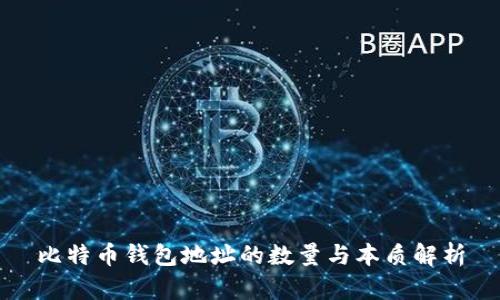 比特币钱包地址的数量与本质解析