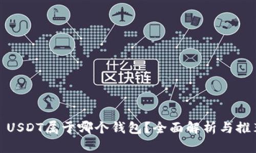 : USDT属于哪个钱包？全面解析与推荐