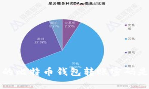  最早的比特币钱包转账密码是几位？