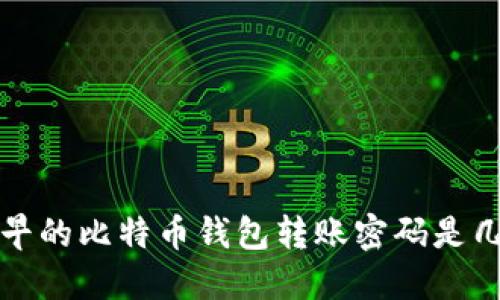  最早的比特币钱包转账密码是几位？