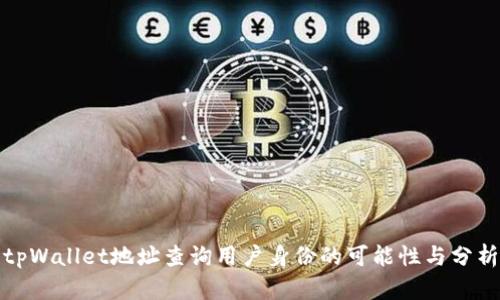 tpWallet地址查询用户身份的可能性与分析