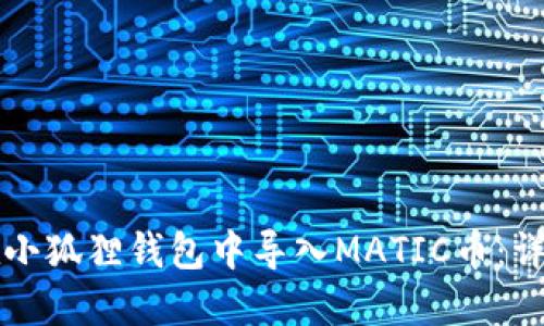 如何在小狐狸钱包中导入MATIC币：详细指南