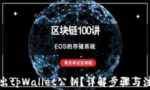 
如何导出tpWallet公钥？详解步骤与注意事项