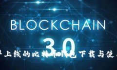 : 最早上线的比特币钱包下载与使用分析