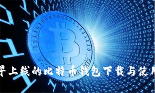 : 最早上线的比特币钱包下载与使用分析