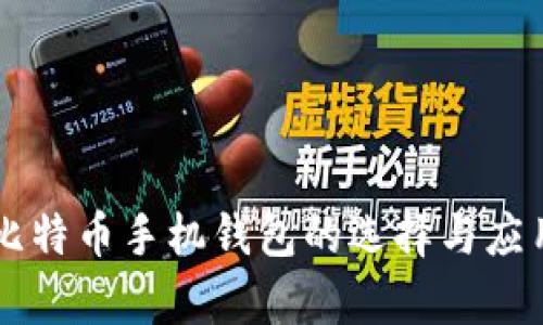 中国比特币手机钱包的选择与应用分析