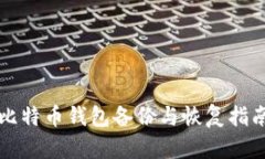 比特币钱包备份与恢复指南