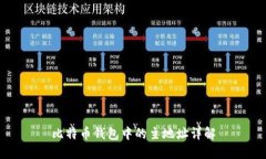 比特币钱包中的主地址详解