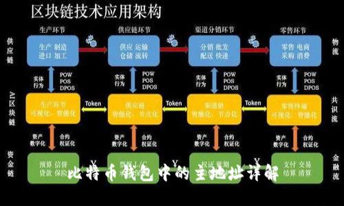 比特币钱包中的主地址详解